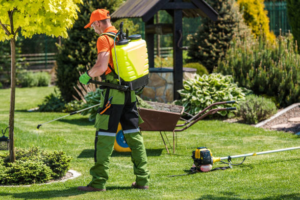 Lawn Pest Control in Strathmore, NJ